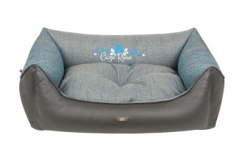Pelech Cazo Blue rose