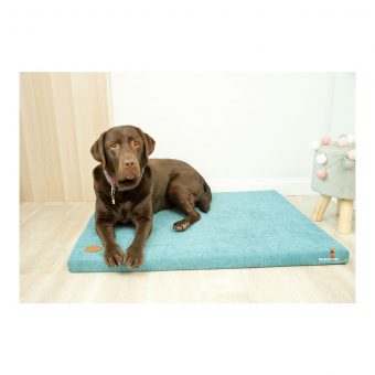 Matrac pre psa a mačku DEMI 100 x 80 x 5 cm tyrkysový-1